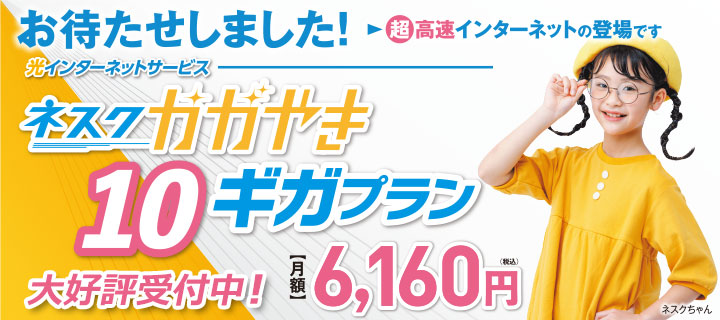 ネスクかがやき10ギガプラン